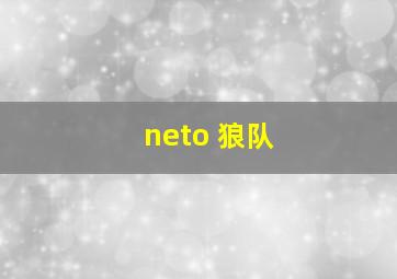 neto 狼队